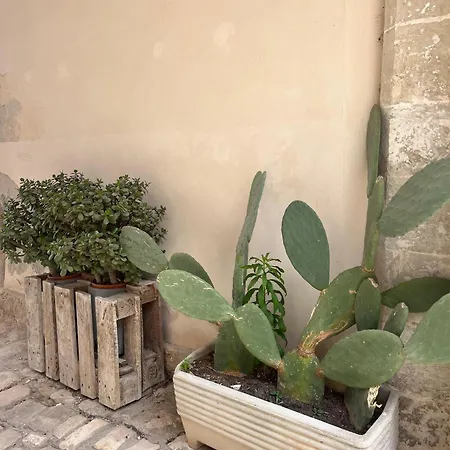 Palazzo Palmieri Holiday home Martignano